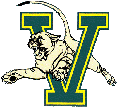 Vermont Catamounts 1981-1997 Primary Logo diy fabric transfer